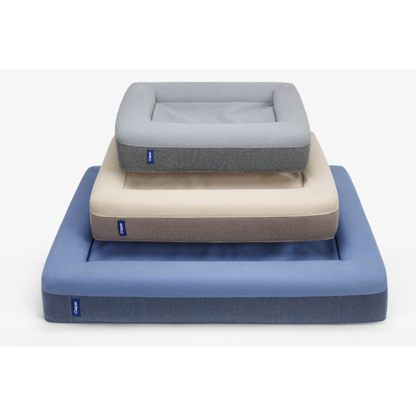 Casper Sleep The Casper Dog Bed & Reviews Wayfair